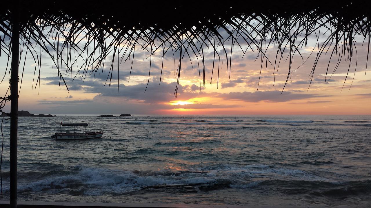 希克杜沃 希卡杜瓦珊瑚海海滩旅馆酒店 外观 照片